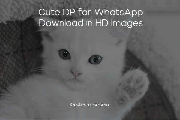 Read more about the article 171+ Cute DP for Whatsapp Download in HD Images 2025