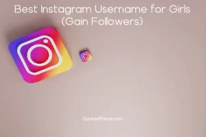 Read more about the article 399+ Best Instagram Username For Girls 2025 (Gain Followers)