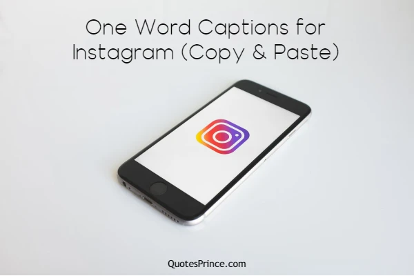 Read more about the article 555+ Best One Word Instagram Captions – Stylish & Attitude 2025