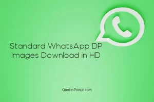 Read more about the article 1111+ Standard Whatsapp DP Images For 2025