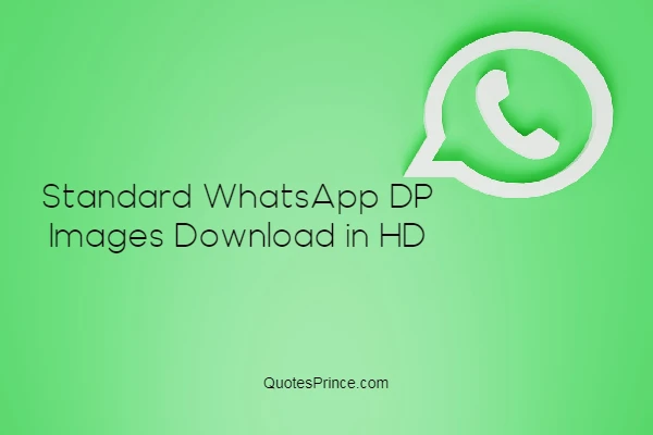 Read more about the article 1111+ Standard Whatsapp DP Images For 2025