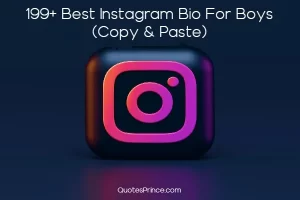 Read more about the article (BEST 850+) Instagram Bio For Boys in 2025 – Love & Attitude