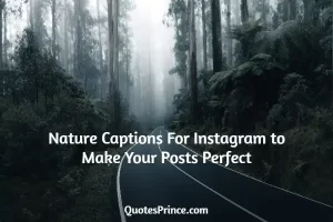 Read more about the article 471+ Nature Captions For Instagram to Make Your Posts Perfect