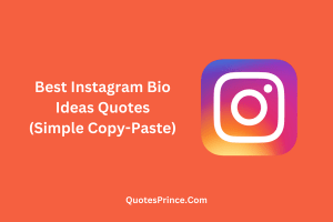 Read more about the article 111+ BEST INSTAGRAM BIO IDEAS QUOTES For 2025 (Copy-Paste)