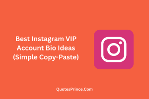 Read more about the article Best Instagram VIP Account Bio – Stylish & Attitude 2025