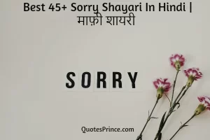 Read more about the article Best 45+ Sorry Shayari In Hindi – माफ़ी शायरी 2025