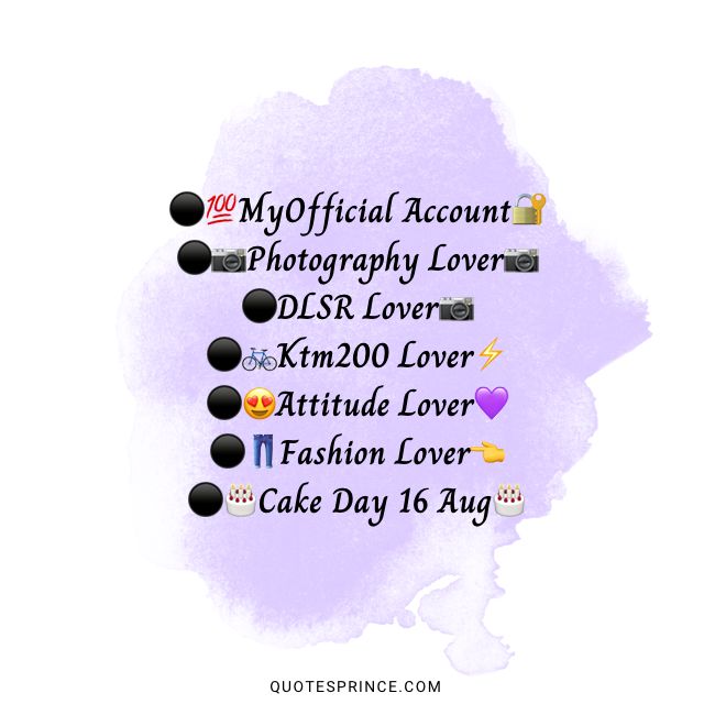 Instagram Bio For Boys Attitude