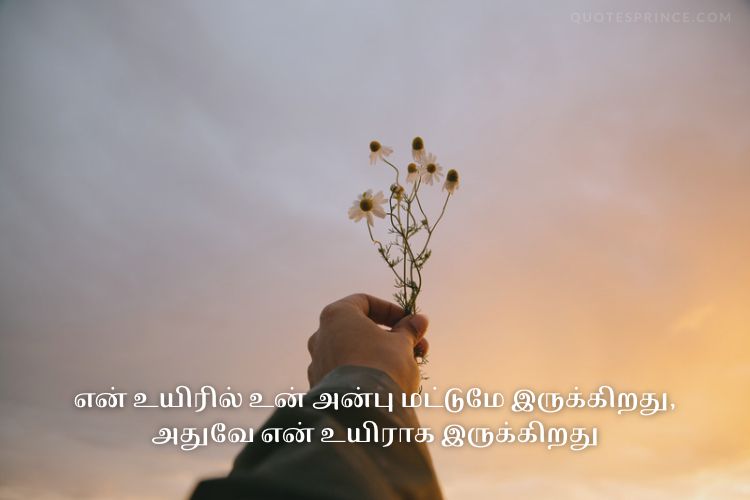 Read more about the article BEST Love Quotes in Tamil 2025